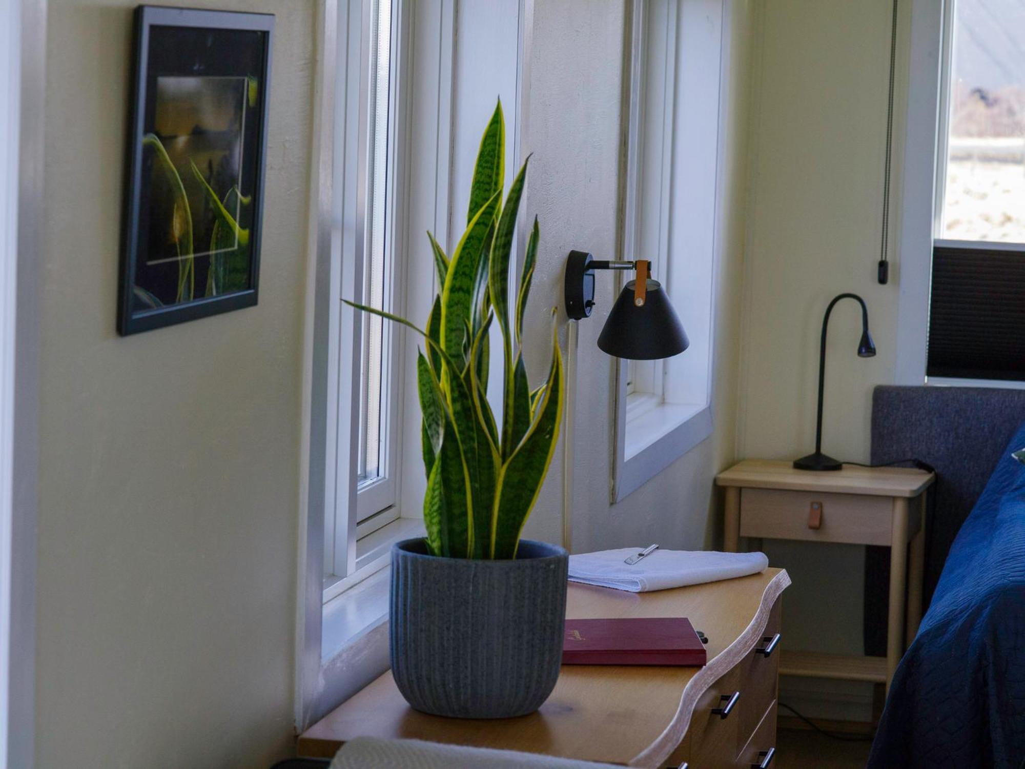 Myvo The Studio Apartment At Geiteyjarstroend 4 Reykjahlíð Εξωτερικό φωτογραφία